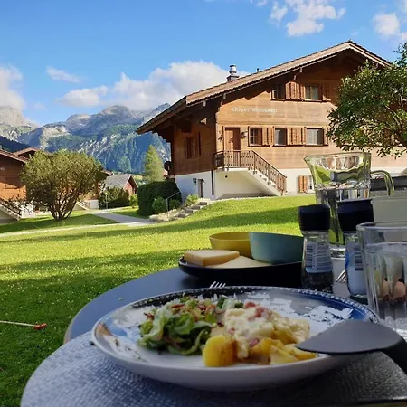 Spitzhorn Nr- 1 Appartement-fewo- Dusche- Wc- 2 Schlafraeume 4-bettwohnung By Interhome Апартаменты *